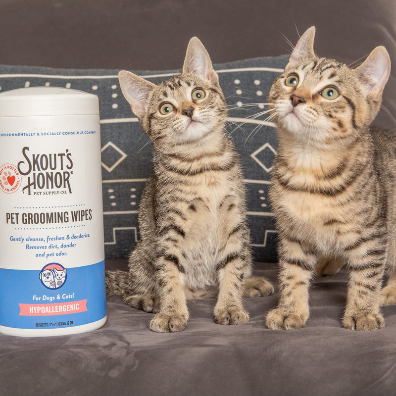SKOUT'S HONOR Pet Grooming Wipes for Dogs and Cats - Deodorizing, Plant-Based, Biodegradable, Fragrance-Free - for Paws, Faces, Skin Folds & Bums, 80 Count 1- Pack - PawsPlanet Australia