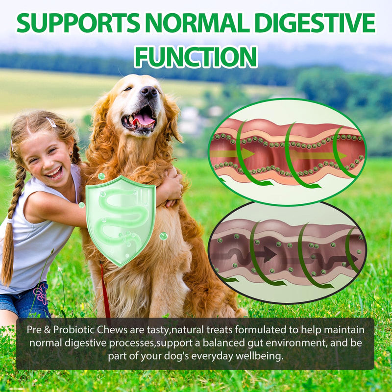 Probiotics for Dogs – 30 Duck-Flavoured Chews with Pumpkin & Enzymes | Supports Gut Flora, Digestive Comfort & Skin Condition 30 Chews