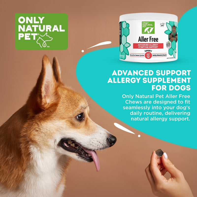 ONLY NATURAL PET AllerFree Advanced Allergy Support for Dogs w/Quercetin & Probiotics - Immune, Respiratory, Skin & Coat Health - Itchy Paws & Licking - Bacon-Flavored 60 Soft Chewable 60 Count (Pack of 1)