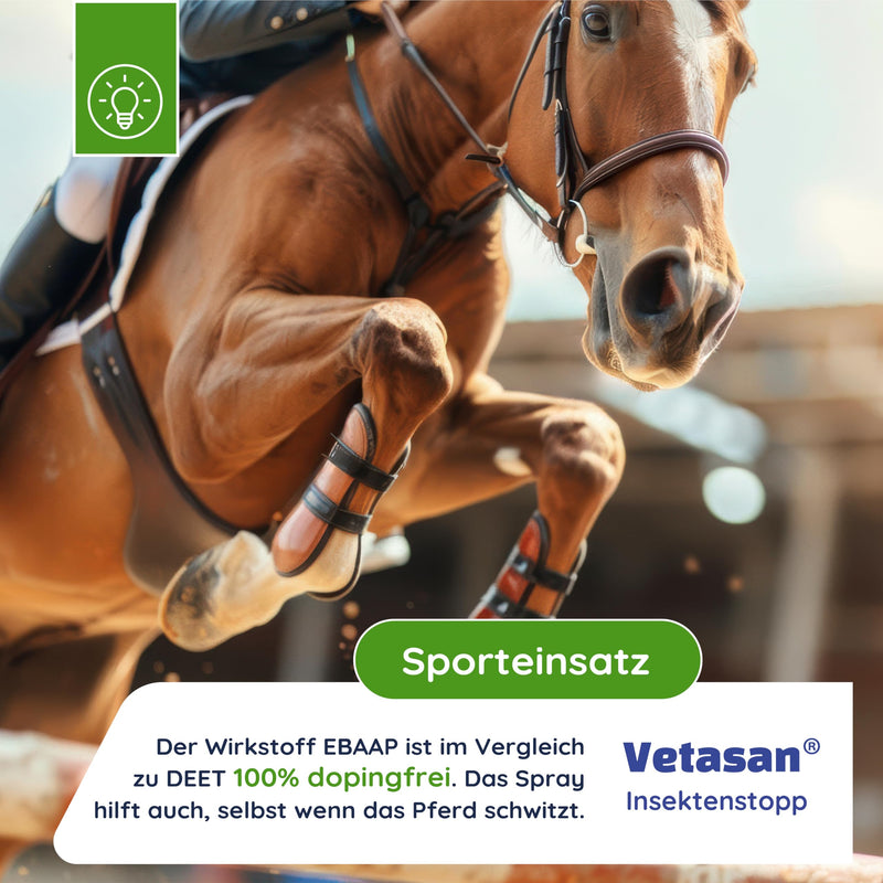 Vetasan Anti Fly Spray Horse 500ml I Insect Spray Horses Against Flies, Horseflies & Mosquitoes I Insect Repellent Spray for Fly Protection Horse Accessories - BeesActive Australia