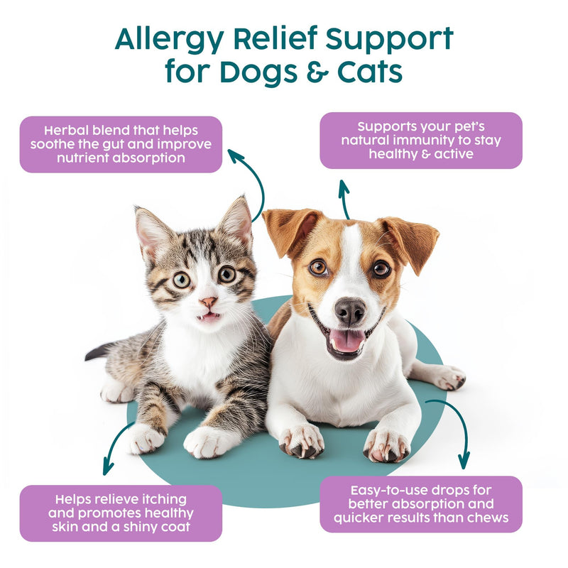 Itchy Dog Skin Relief - Milk Thistle for Dogs, Anti Itch for Dogs & Cat, Natural Antibiotics for Cat Skin Irritation Treatment, Antihistamine for Dog Itchy Skin Allergy Relief | 50ml