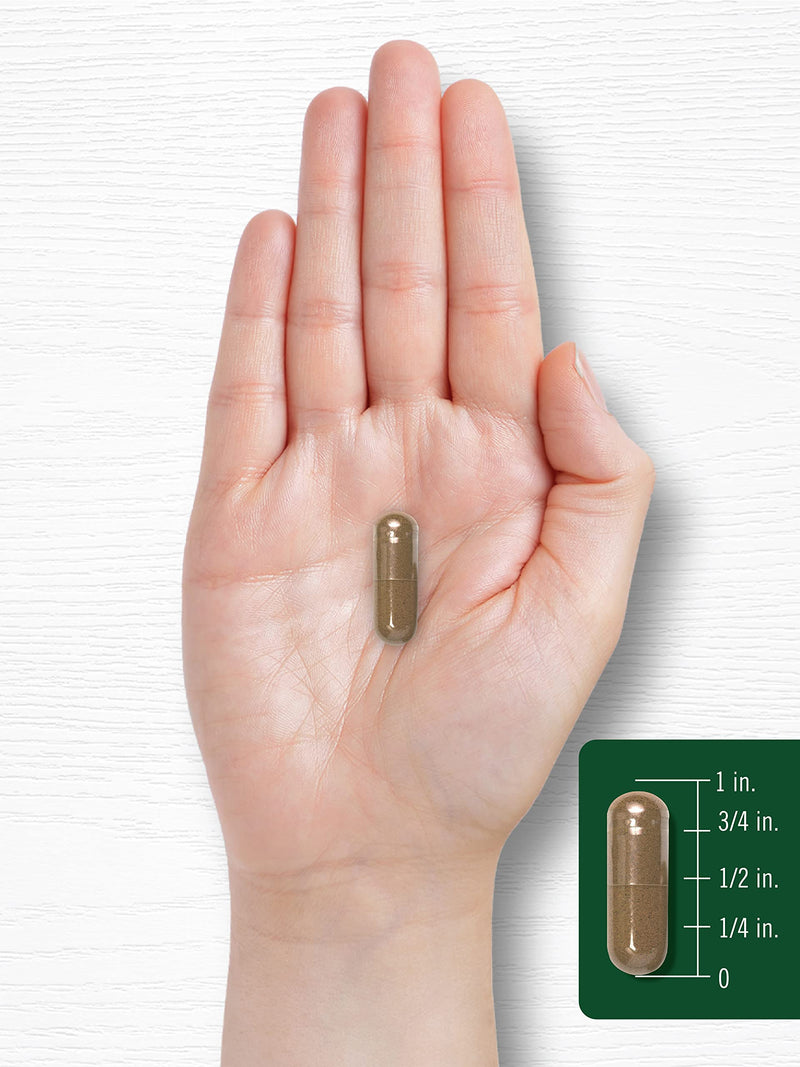 Carlyle Cat's Claw Herb Capsules 1000mg | 180 Count | Uncaria Tomentosa | Non-GMO, Gluten Free Supplement