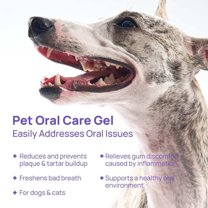HICC PET Dog Dental Gel, Gentle Teeth Cleaning Gel for Dogs & Cats, Pet Breath Freshener, Maintains Gum Health, Natural Enzymatic Oral Gel Kit, No Brushing Required, Non-Toxic. 60ml