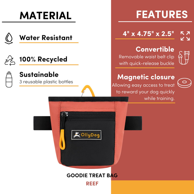 OllyDog Goodie Treat Bag, Dog Treat Pouch, Waist Belt Clip for Hands-Free Training, Magnetic Closure, Dog Training and Behavior Aids, Three Ways to Wear (Reef) Reef - BeesActive Australia