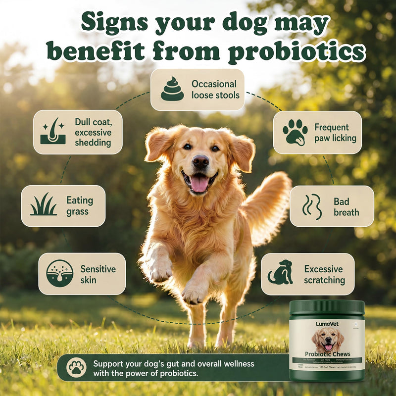 Probiotics for Dogs - with Prebiotics & Digestive Enzymes, Support Gut Digestive Health, Relief Occasional Diarrhea, Bloating & Constipation - Canine Gut Health Supplements 120 Chews(Chicken)