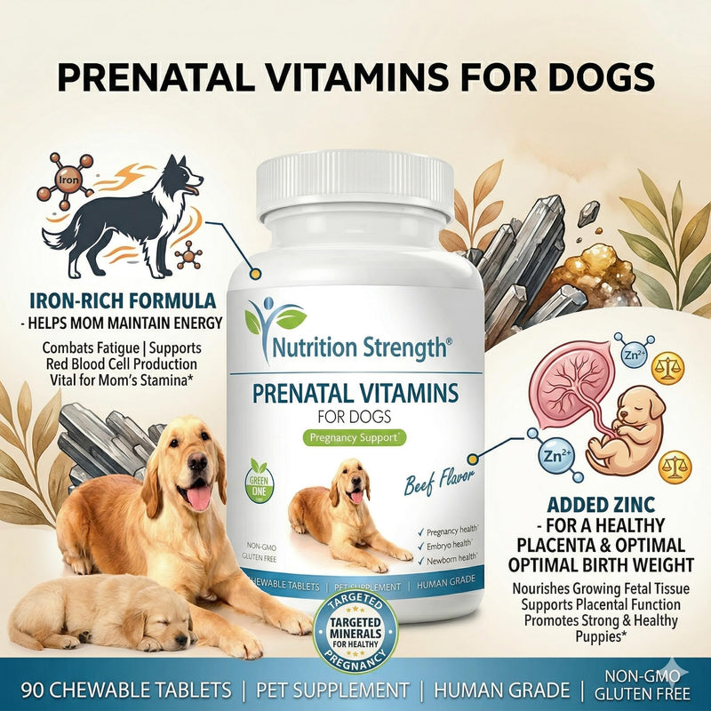 Prenatal Vitamins for Dogs to Support Development of Healthy Puppies, Promote Milk Production, with Folic Acid, Iron, Zinc, Iodine, B Vitamins for Pregnant Dogs, 90 Chewable Tablets Beef