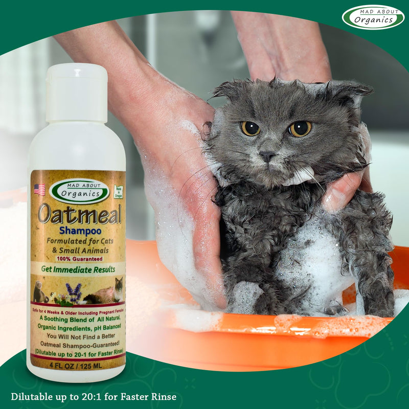Cat Oatmeal Shampoo - Gentle, Moisturizing Small Pet Wash for Sensitive Skin, 4oz - BeesActive Australia