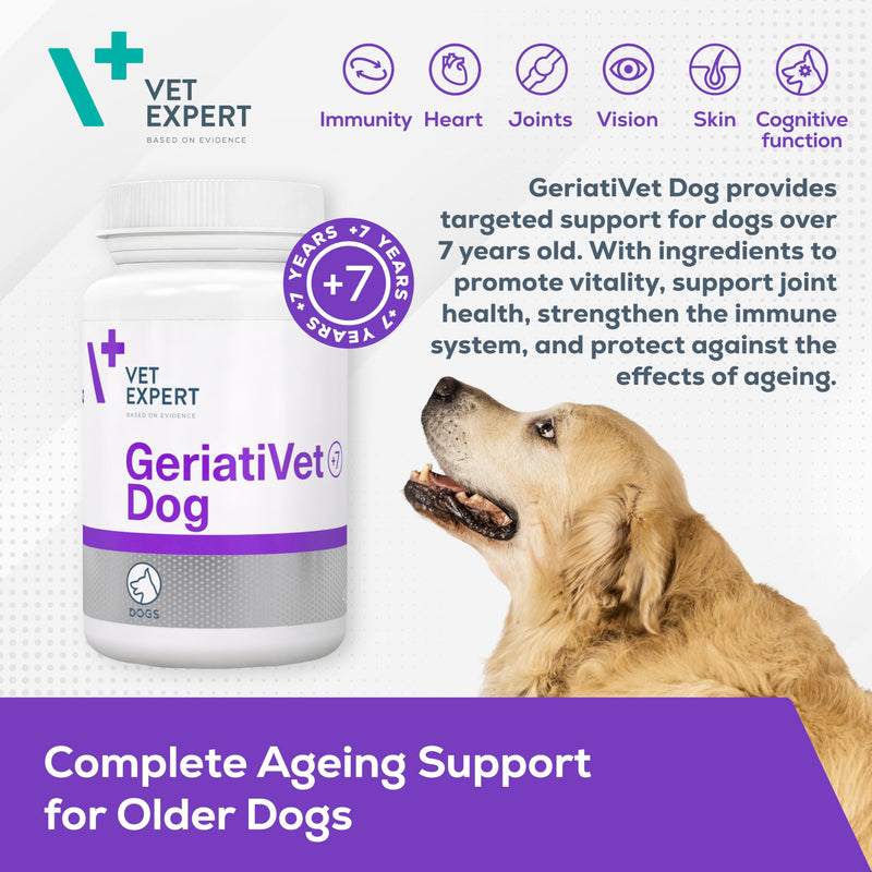 Vet Expert Geriativet Senior Dog Supplement | Enhances Energy Metabolism, Joint Health, and Immune Function | HMB-Ca, Omega-6, β-Glucan, L-Carnitine, Glucosamine, Lutein, and Vitamin E | 45 Capsules