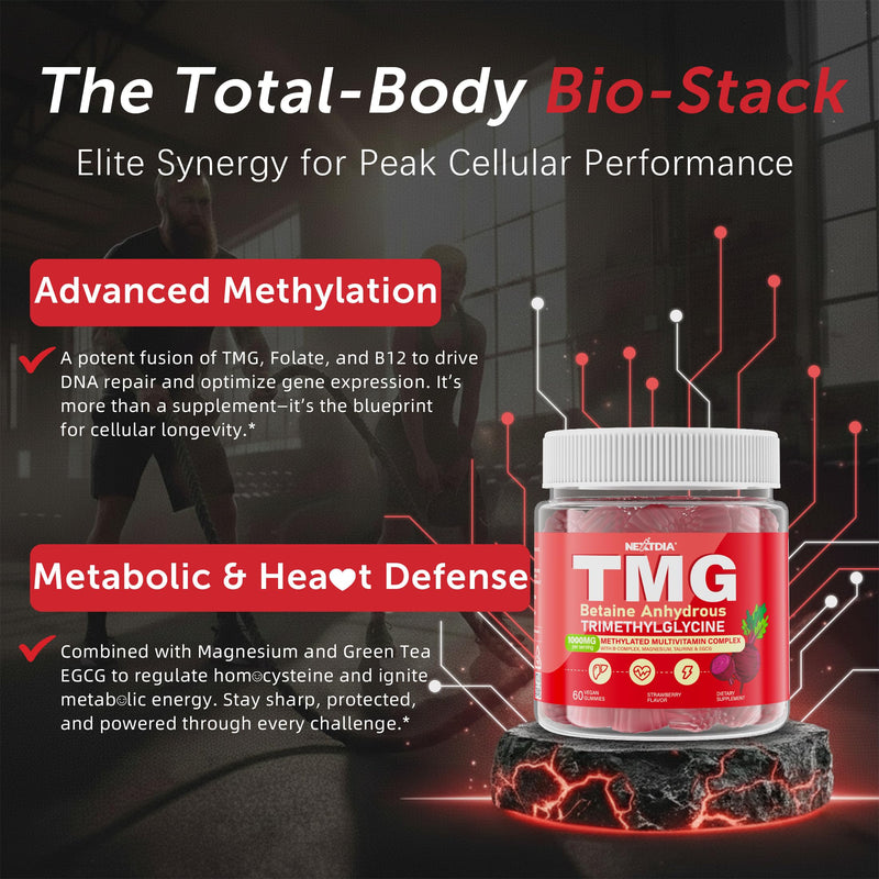 2Pack TMG Gummies 1000mg Betaine Anhydrous, Methylated B Complex, Magnesium | Methylated Multivitamin, Methylfolate B12 B6 + Magnesium Taurine, Trimethylglycine for Homocysteine Levels, Brain, Energy