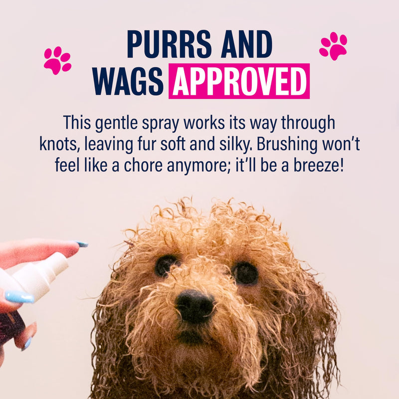 Rebel Green Pants & Wags Anti-Itch & Scratch Dematting Spray - Leave-in Detangler Spray for Dogs and Cats - Orange Blossom & Chamomile - Hypoallergenic - No Dyes or Perfumes - 8 oz - 2 Pack