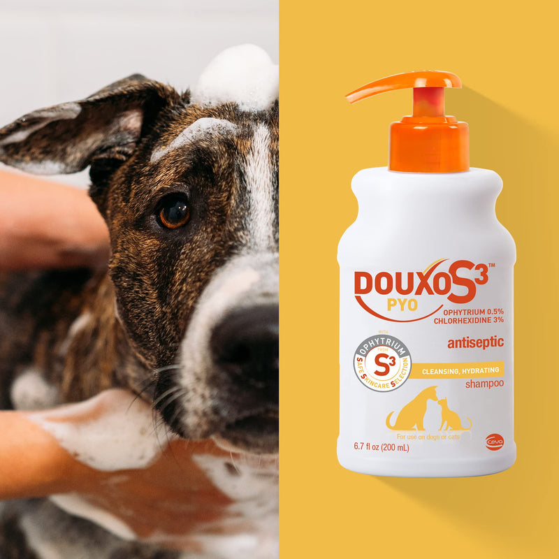 Douxo S3 PYO Shampoo 6.7 oz (200 mL) - BeesActive Australia