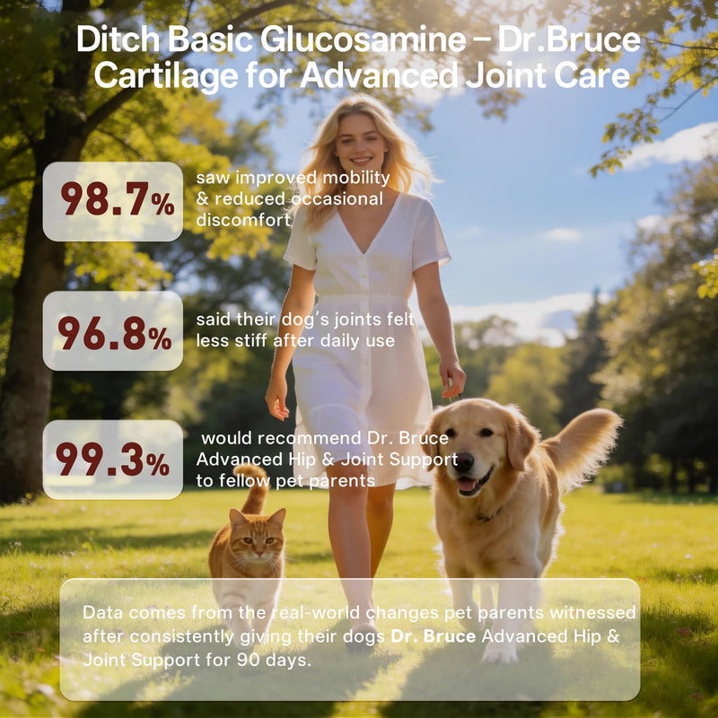 Joint Supplement for Dogs & Cats, Chondroitin Sulfate & Calcium Carbonate, Supports Hip, Joint & Bone Health, Chelated Trace Minerals for Skin & Coat, Meat Formula for All Breeds, 140 Chewable Tablets