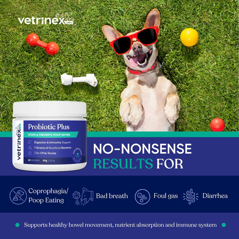 Vetrinex Labs Coprophagia Treatment for Dogs - Stop & Prevent Dog from Eating Poop - No Poop, Stool Eating Deterrent - How to Forbid & Keep Dogs and Puppies from Chewing Cat Feces - Probiotic Powder Original 60 gram - BeesActive Australia