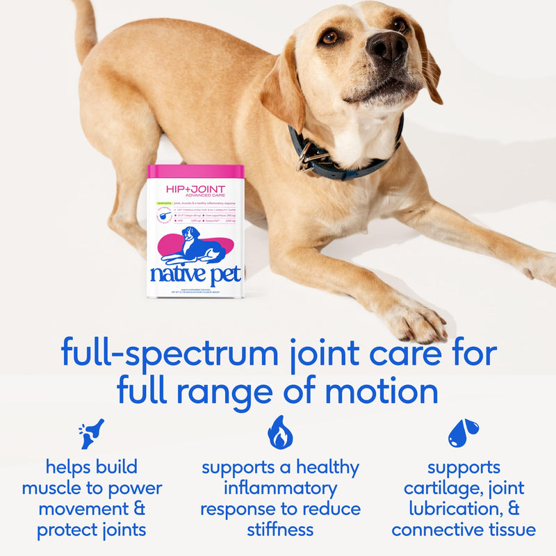 Native Pet Joint & Skin Wellness Pack: Hip & Joint Supplement for Dogs - Supports Cartilage, Muscles & Anti-Inflammatory & Omega Skin and Coat Chews Supplement for Dogs - 60 Count