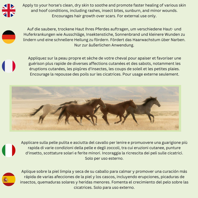 Nature's Intervention Soothing Aloe Gel for Horses – 200g – Botanical Skin Shield with Neem, Tea Tree & Mint – High-Performance Equine Protection & Conditioner