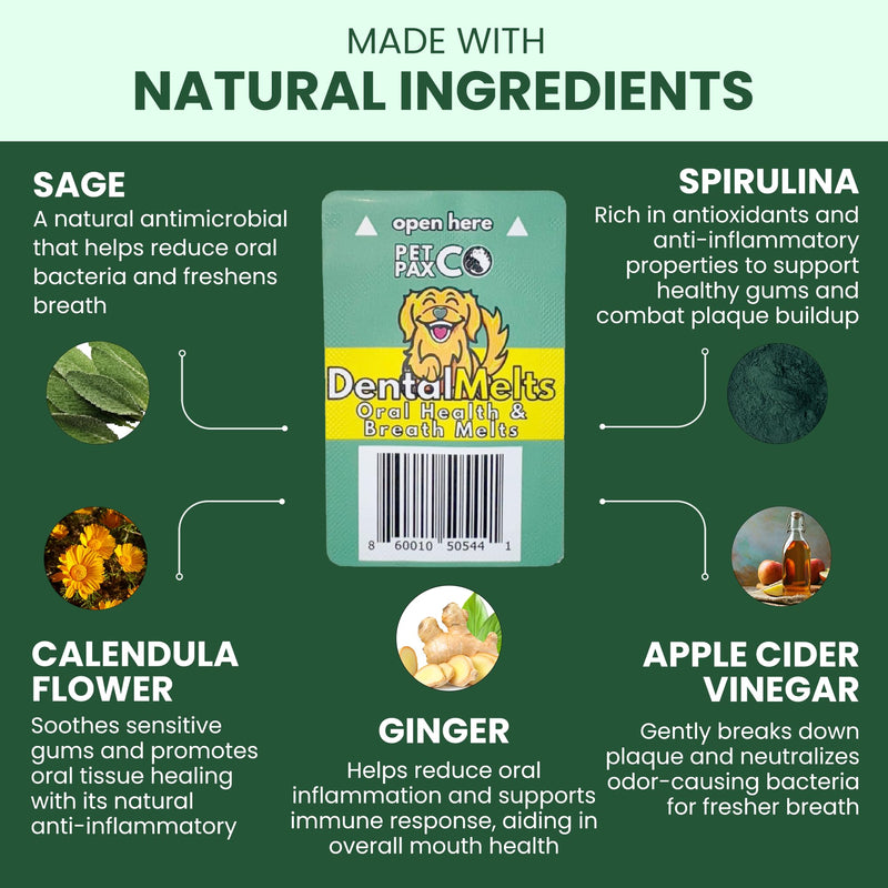 Bad Breath Oral Support for Dogs 5 in 1 – 10 Oral Melts – Natural Sage, Spirulina, Apple Cider Vinegar – Dog Dental Care Products & Breath Freshener – Fast Dissolving Dog Breath Treats 10 Strips