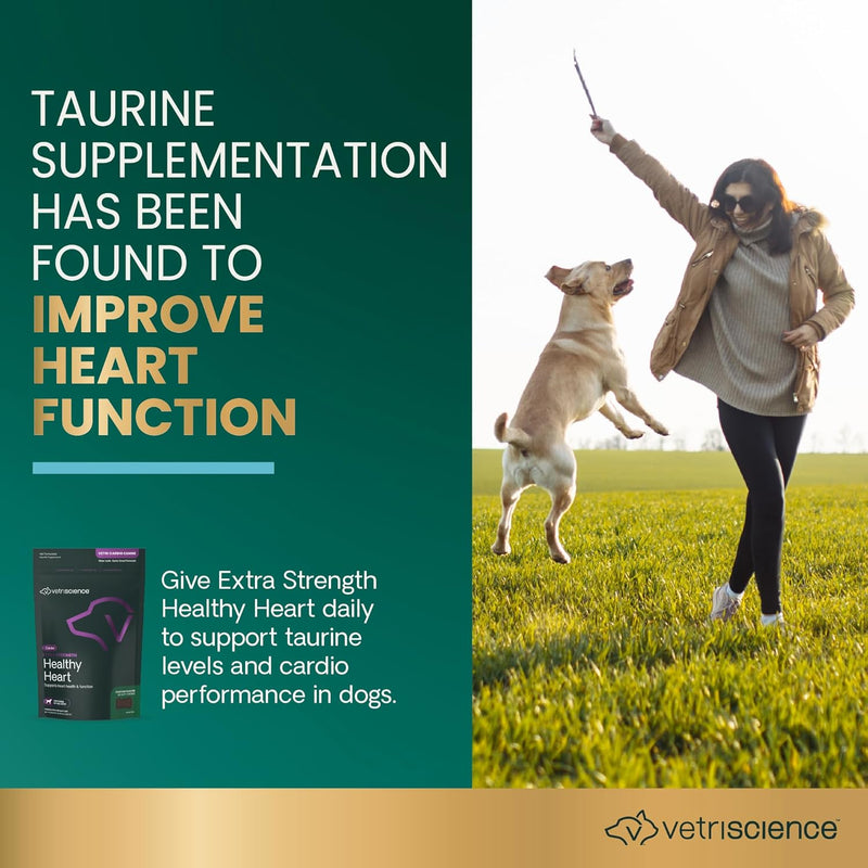 VETRISCIENCE Vetri Cardio Canine Complete Cardiovascular Support for Dogs with CoQ10, Taurine and Arginine , 60 Chews - BeesActive Australia