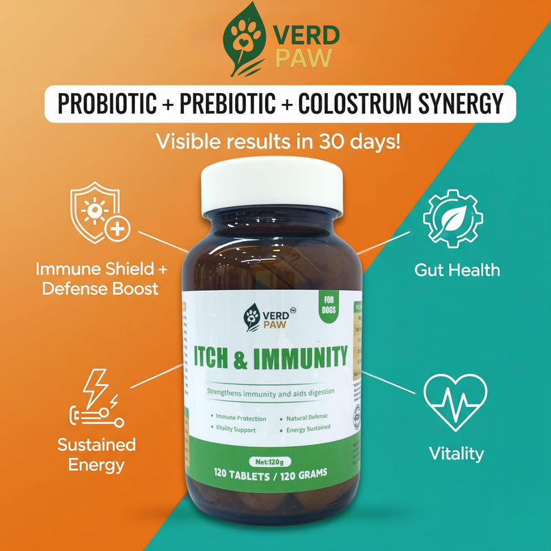 VERDPAW Itch & Immunity Tablets for Dog Allergy Relief & Dog Itchy Skin Relief, Helps Reduce Scratching, Paw Licking & Seasonal Allergy, Supports Gut Health & Natural Immune Function, 120 Tablets