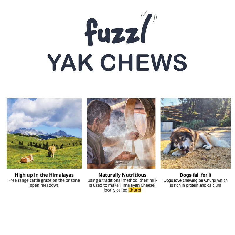 Fuzzl Premium Yak Chews for Dogs Superfood Turmeric - 2 Pack 140g Natural Dog Treats with Himalayan Yak Milk Joint Health