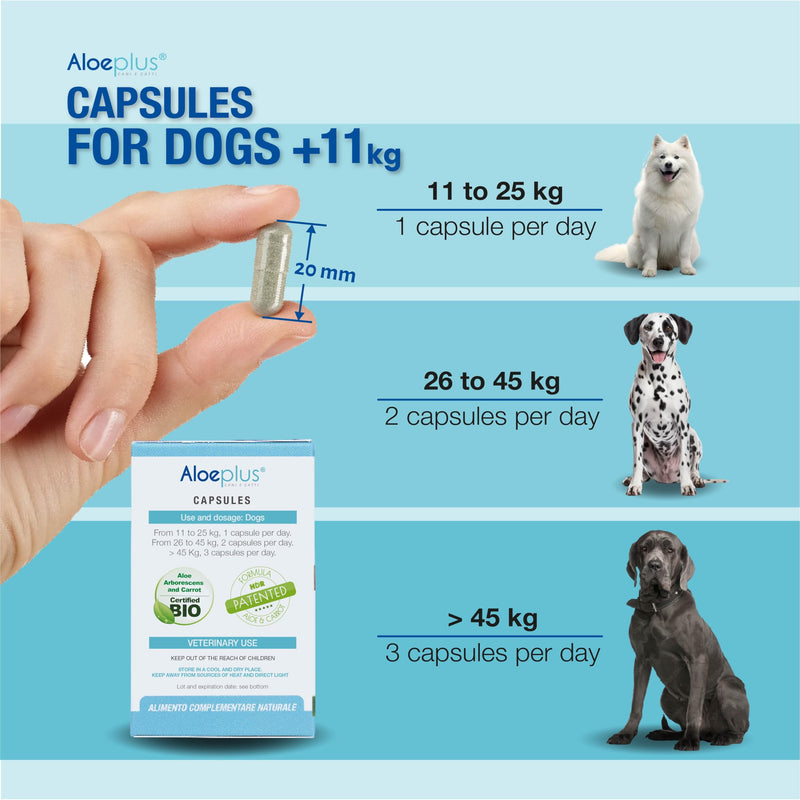 Capsules Dietary Supplement for Dogs Weighing 11+ kg. - Natural Supplement Based on Aloe arborescens - Stimulates The Immune System - for The Well-Being of Dogs Weighing 11 kg and up.