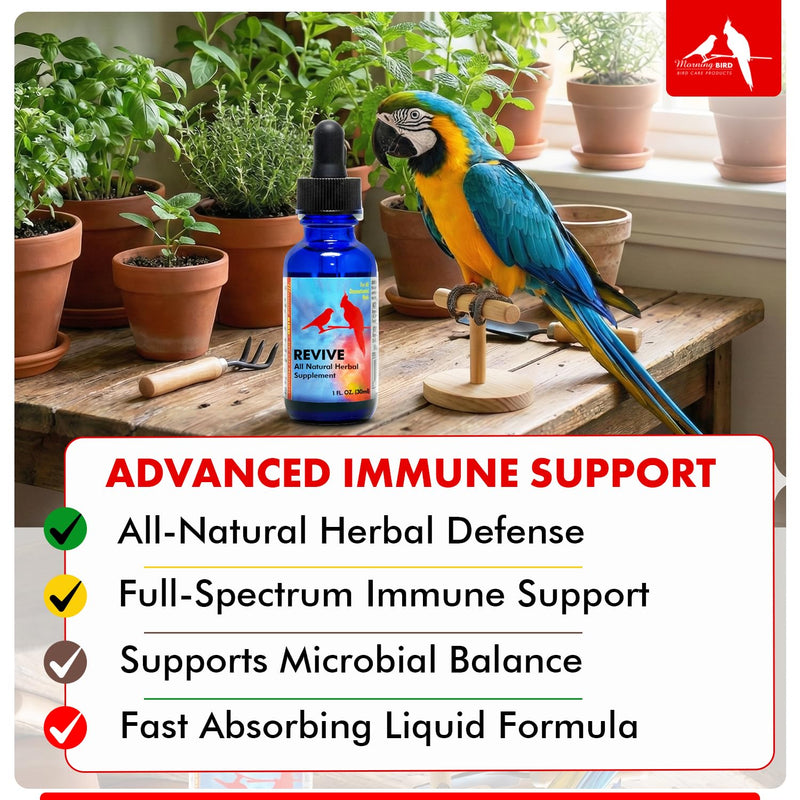Morning Bird Revive 1 Fl oz – Herbal Extract Blend for Immune Support for Birds - Improved Liquid Formula for Optimum Immune Defense & Faster Absorption - Enhanced Digestive Health, Energy & Wellness