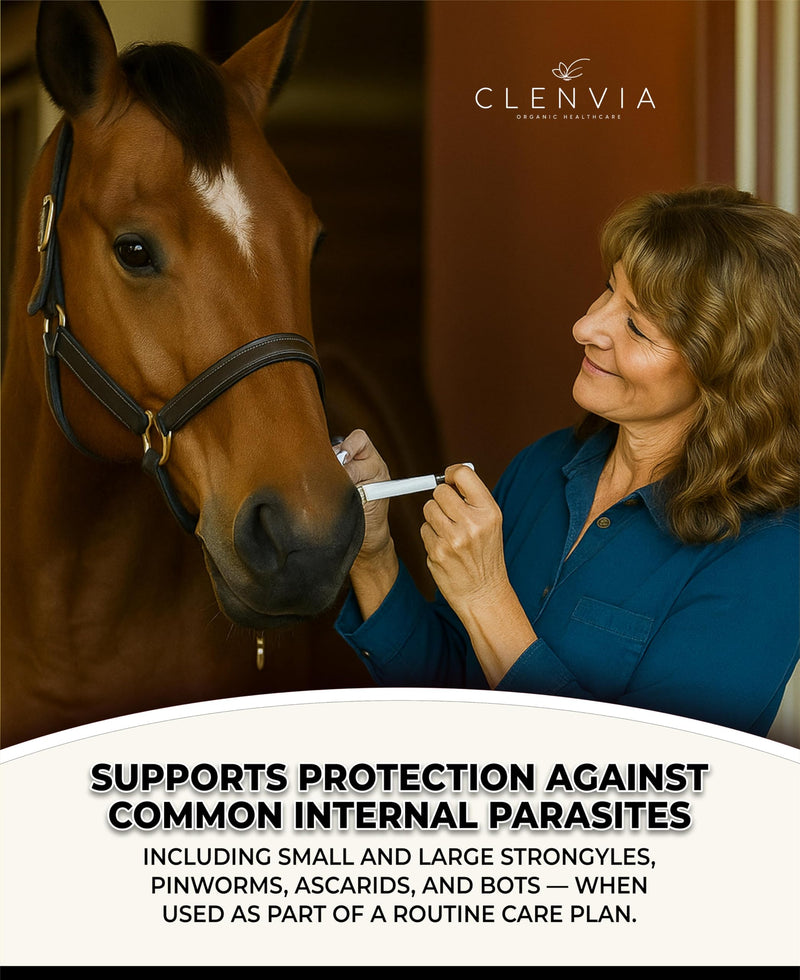 Horse Paste 1.87% – Apple Flavored Wormer – 6.08g Tube – Treats Up to 1250 lb 1 Count (Pack of 3)