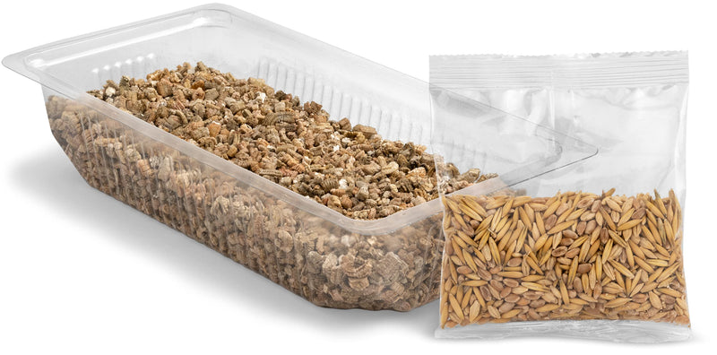 Vitakraft Cat Grass, fresh cat grass, fully grown cat grass, with vitamins and minerals (1x 120g) - BeesActive Australia