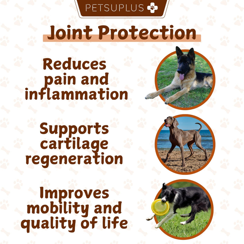Hip & Joint Care. Collagen for Dogs. Dog Joint Supplements with Green Lipped Mussel, Glucosamine, Chondroitin, Hyaluronic Acid, Calcium & more. 120 Chews