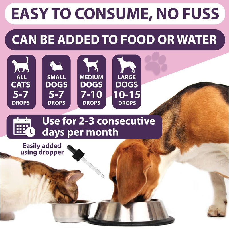 Wormwood for Dogs Cats, Natural Liquid Supplement Drops for Intestinal Hygiene, No Nasty Chemicals, Made in UK (30ml.) 30ml.