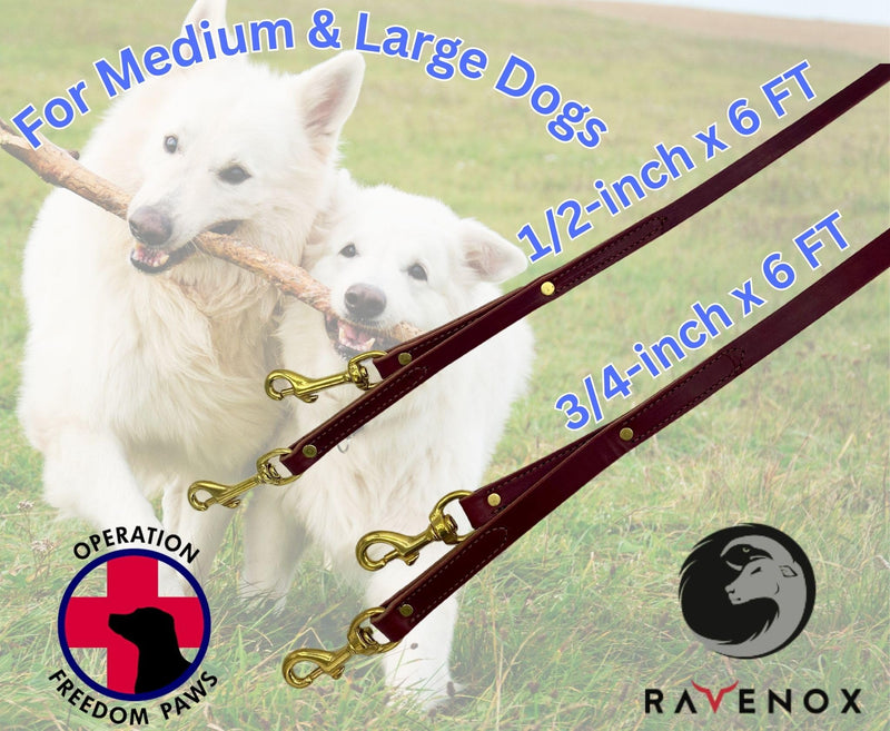 Ravenox Leather Safety Dog Leash | Secure & Versatile Lead with Dual Brass Bolt Snaps | Perfect for Prong & Martingale Collars, Harnesses | Burgundy 3/4-inch x 6 FT - BeesActive Australia