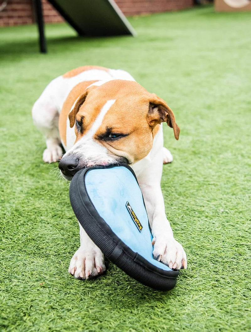 OllyDog Flyer Disc, Dog Frisbee, Lightweight and Floating, Dog Toys Interactive, Dog Stuff, Gentle on Teeth and Gums (Strawberry Ice) Strawberry Ice - BeesActive Australia