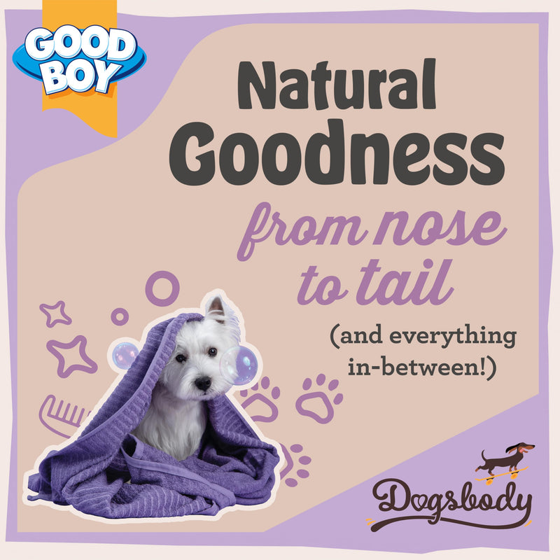 Good Boy Dogsbody Norwegian Salmon Oil For Dogs 500ml - Natural Omega 3, 6 and 9, Fish Oil Supplement for Healthy Skin and Coat