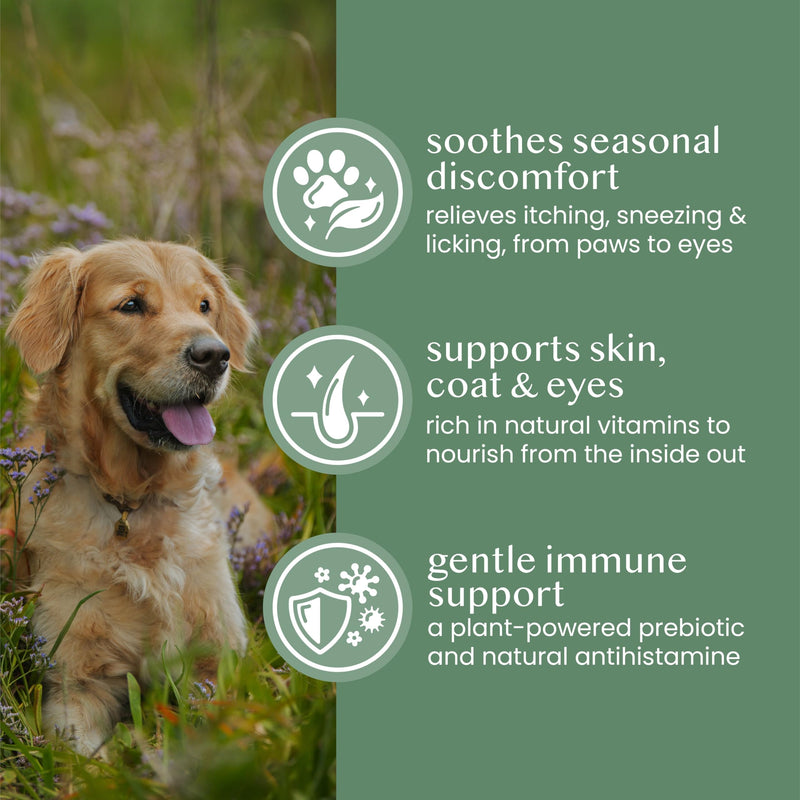 Pure & Natural Nettle Powder for Dogs and Cats – Soothes Itching, Licking and Sneezing – Pet Remedy For Year-Round Dog Allergy Relief and Sensitivities – 125g, over 170 servings, £0.08/serving