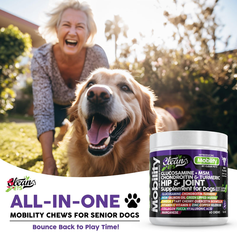 Clean Pets Hip and Joint Supplement Dogs with Glucosamine for Dogs + Chondroitin, Turmeric, Hyaluronic Acid, MSM, Salmon Oil, Collagen, Vitamin C, Omega 3 Senior Dog Supplements Beef Flavor - 1Pack 60 Count (Pack of 1)