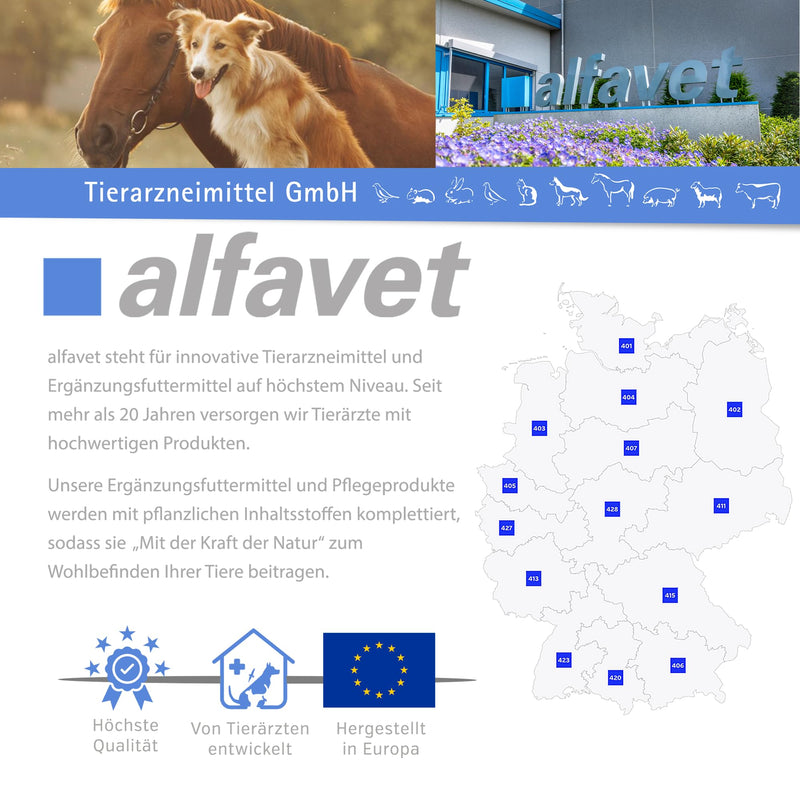 Alfavet DiaPaste PRO for Dogs & Cats (60 ml) – Prebiotic & Probiotic Paste – Digestive Support, Gut Flora Balance, Stool Consistency, Easy-to-Use Oral Injector