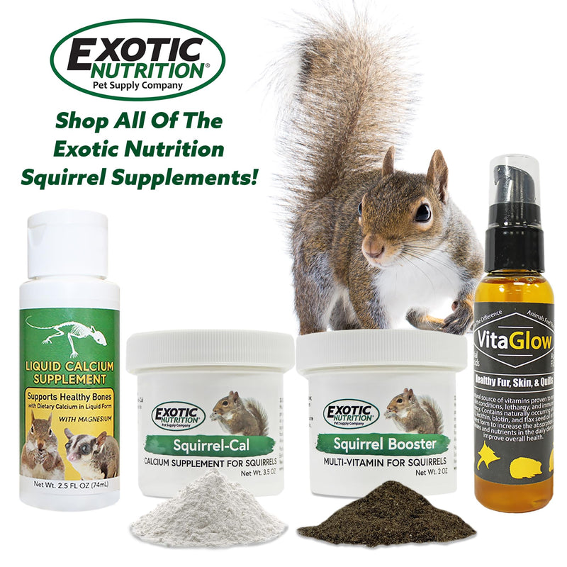 Squirrel Booster (2 oz.) - Complete Multivitamin - Powdered Vitamin & Mineral Supplement for Pet Squirrels - PawsPlanet Australia