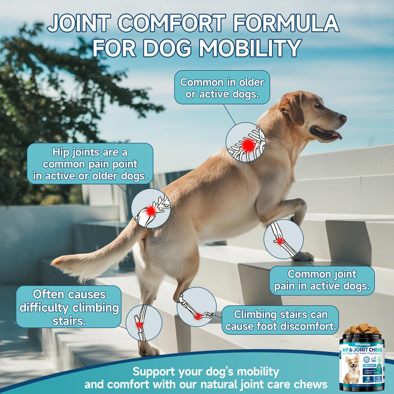 2-in-1 Dog Health Bundle: Allergy & Skin + Hip & Joint Chews (200 Each) - Glucosamine, Omega 3, Turmeric for Itch Relief & Joint Mobility, Chicken Flavor
