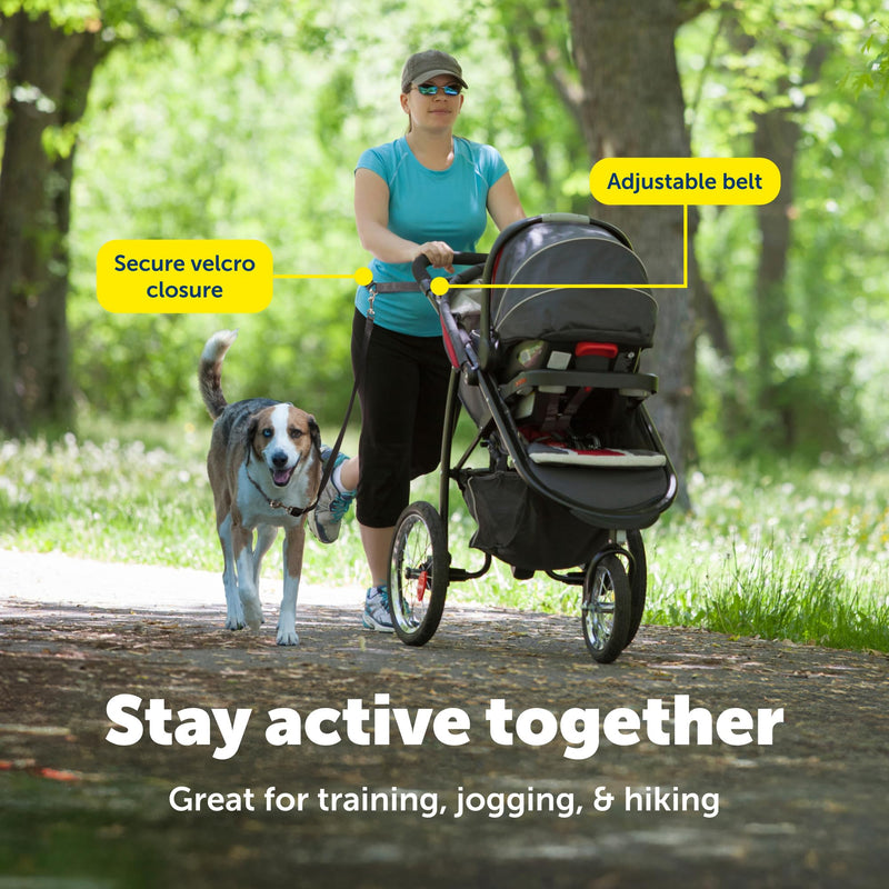 PetSafe Hands Free Adjustable Dog Leash - Great for Running, Jogging, Walking and Hiking - Wear Around the Waist - Black