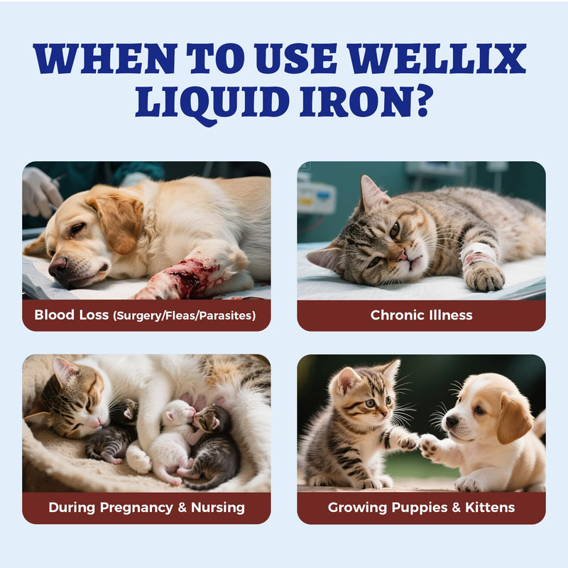 4oz Liquid Iron Supplement for Cats&Dogs-Vitamin B12&C-Cat Anemia Supplements, Hemoglobin Support,Lethargy,Pregnant Cat&Dog Essentials,Kitten & Puppy Supplements-Large Volume