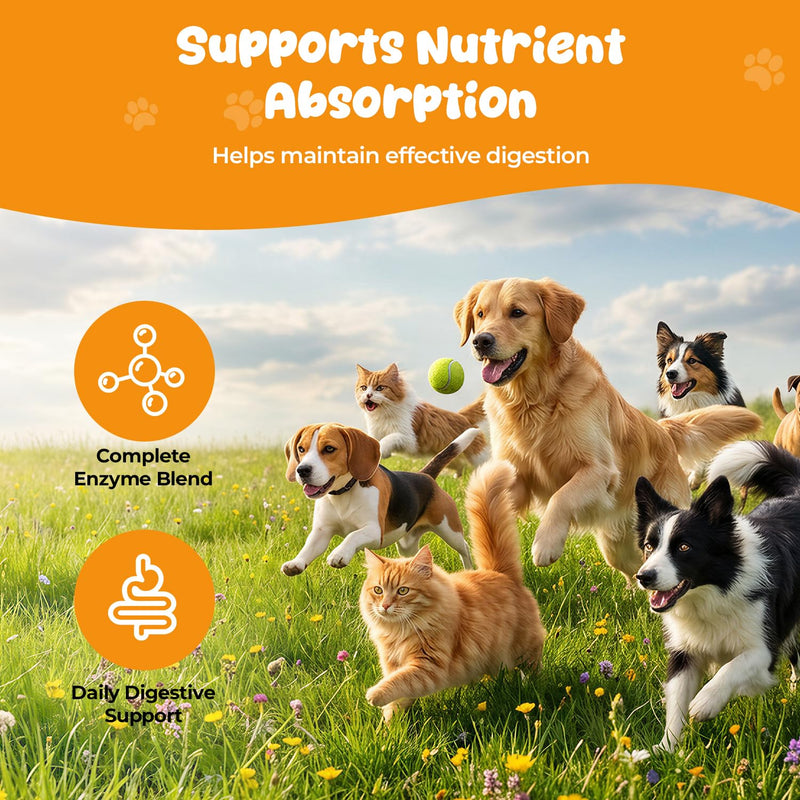 Pancreatic Enzymes for Dogs, Pancreatin Digestive Enzyme Powder for EPI Support, Porcine Pancreatin with Amylase, Protease & Lipase, Helps Maintain Digestion, Stool Consistency & Weight Balance – 2 oz