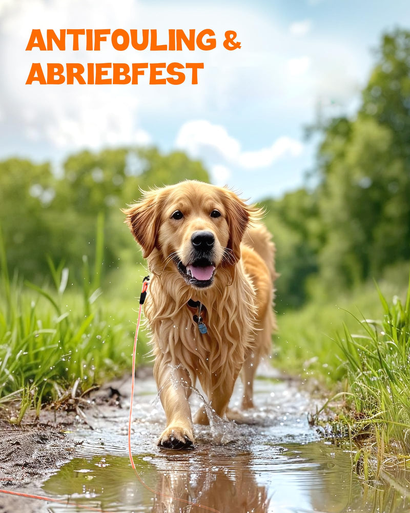 Toozey Tow Leash for Dogs, Waterproof Tow Leash 5M 10M 15M 20M Suitable for Small, Medium, Large Dogs Dog Training, Robust Dog Leash with Soft Padded Handle, Orange -10m - BeesActive Australia