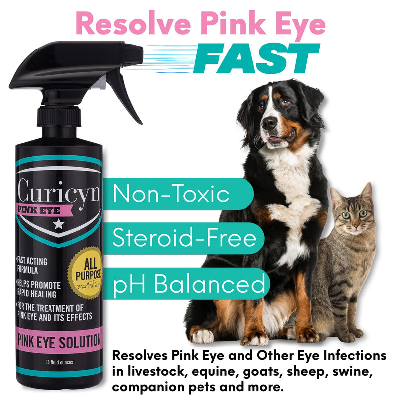 Curicyn Pink Eye Solution - 16oz, Extra Strength Formula Conjunctivitis Eye Drops for Dogs, Cats, Livestock and Horses – Pain Free, Non-Steroidal Dog Eye Wash with Purified Anolyte -