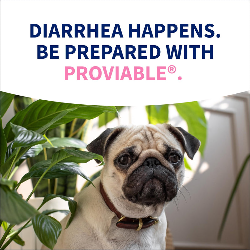 Nutramax Proviable Probiotics for Dogs, Diarrhea Support Kit, Digestive Health Supplement with Multiple Strains of Bacteria, Plus Prebiotics, Kaolin and Pectin, 30 ml Paste and 10 Capsules Dogs - 30 ml (Pack of 10)