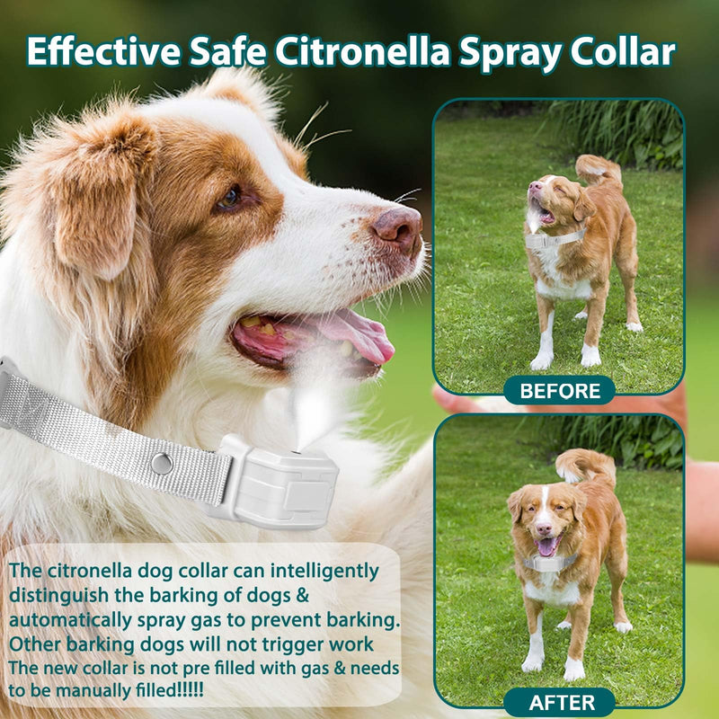 Citronella Dog Bark Collar [NO Spray Refill] Spray Dog Training Collar, Citronella Dog Barking Collars, Anti Barking Spray Collar for L/M/S Dogs Grey-21B - BeesActive Australia