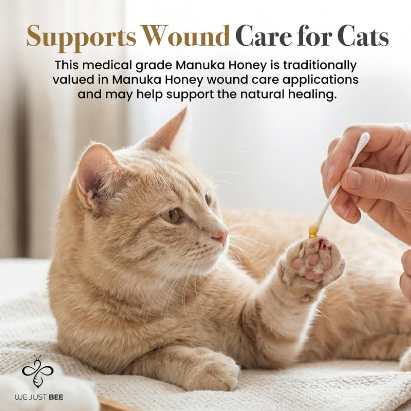 Manuka Honey for Cats MGO 400+ | Feline Wellness Cat Treat – Premium New Zealand Manuka Honey | Medical Grade Support for Cat Wound Care, Skin & Immunity Health – 250g / 8.8oz