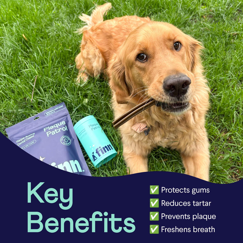 Finn Dental Powder for Dogs | Targets Plaque, Tartar & Bad Breath