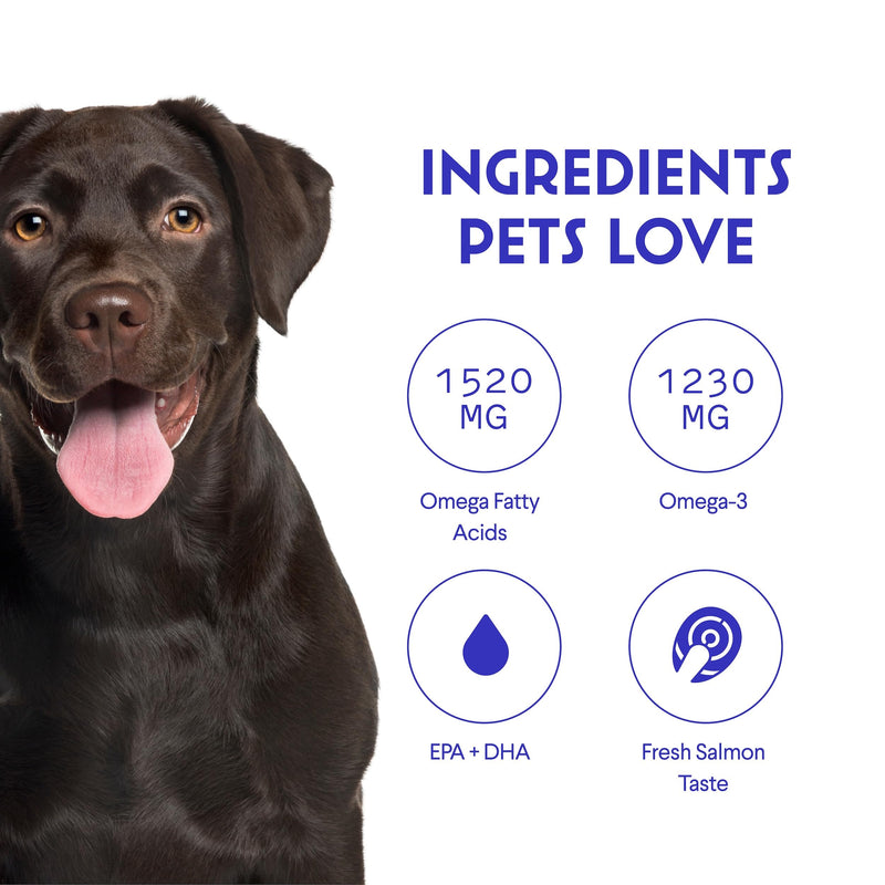 WONDER PAWS Vitamin B12 Tablets Plus Omega Max Fish Oil - for Dog's Skin Health, Respiratory and Cell Health & Immune Support – B12 90 Chewable Tablets - Omega Max 16 Ounces