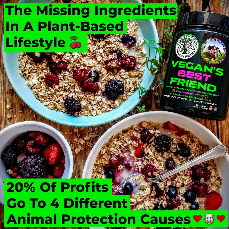 Vegan's Best Friend - Plant Based Multivitamin For Men & Women - Brain, Memory, Energy, Immune, Mood & Stress Support - Replaces 7 Supplements - Creatine, B12, D3, Choline, Zinc, Taurine - 60 Servings 1.11 Pound (Pack of 1)