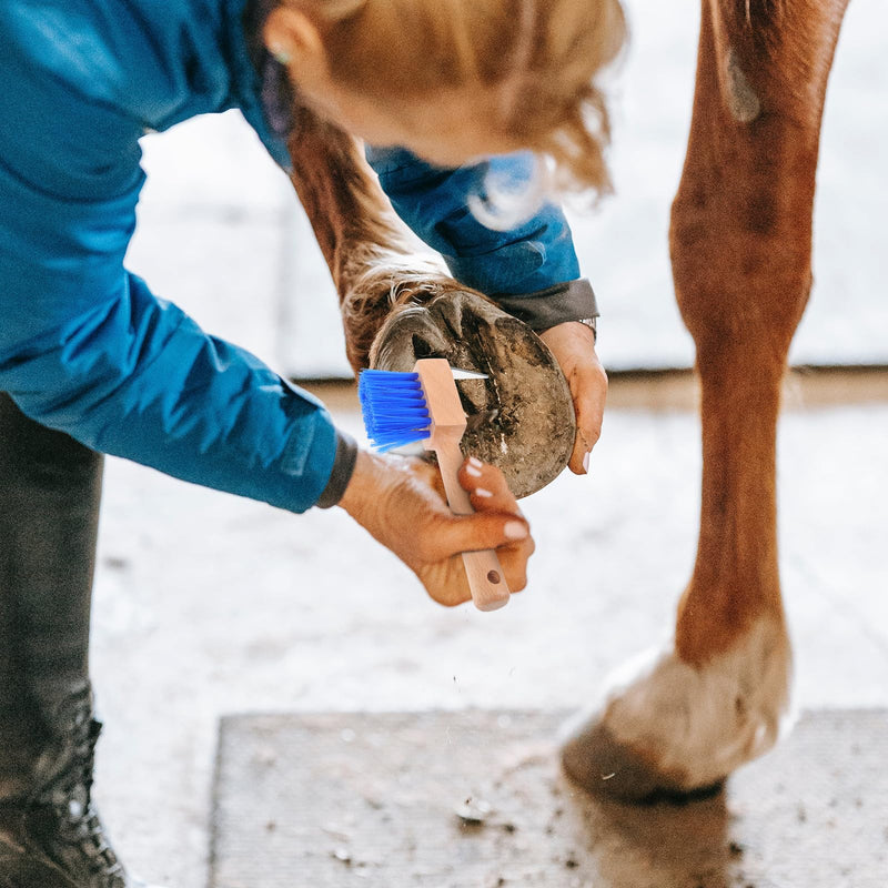 NOLITOY Horseshoe Brush Horseshoe Hook Hoof Tool Sheep Hoofpick Horse Grooming Horse Hoof Horse Head Hoof Pick Hoof Pick and Brush Grip Hoof Pick Horse Hoof Pick Hooves Portable Wooden - BeesActive Australia