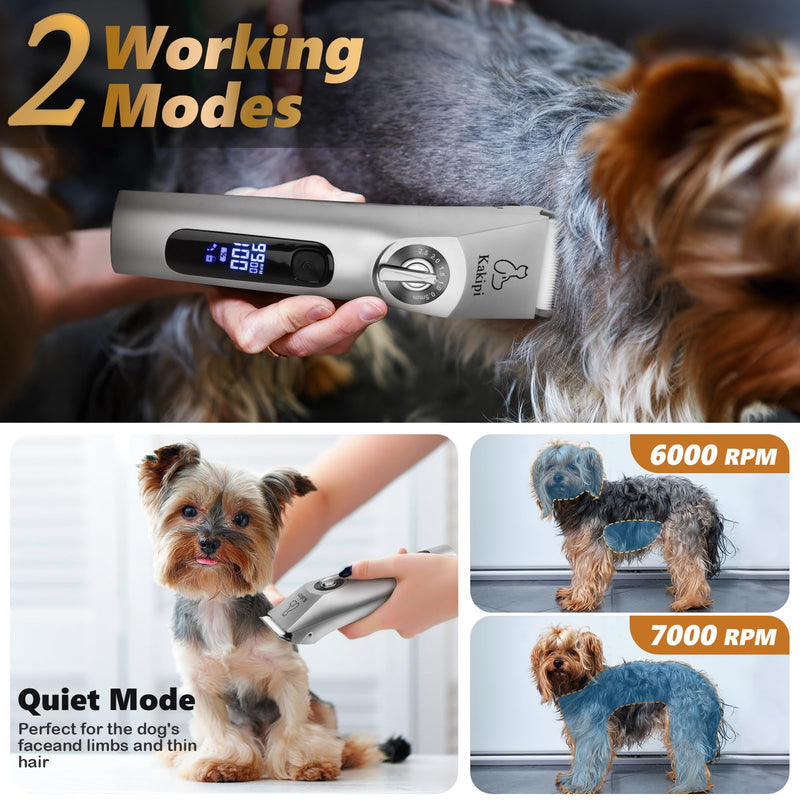 3 in 1 Low Noise Dog Clippers for Grooming, Adjustable Dog Grooming Kit for Thick Hair, IPX7 Waterproof Pet Grooming Supplies with Paw Trimmer and Scissors, for Large & Small Dog Sliver - BeesActive Australia